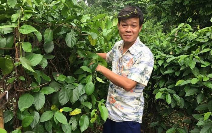 Dược sĩ [Tên chuyên gia]